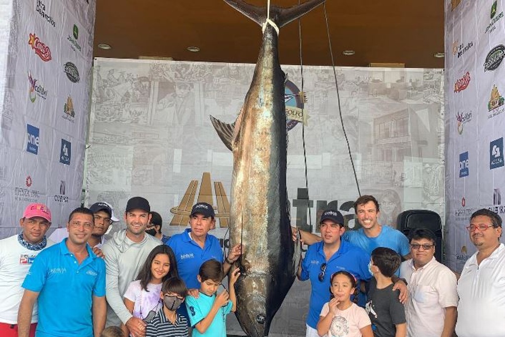 ¡Cae el primer Marlin con más de 180 kilos!