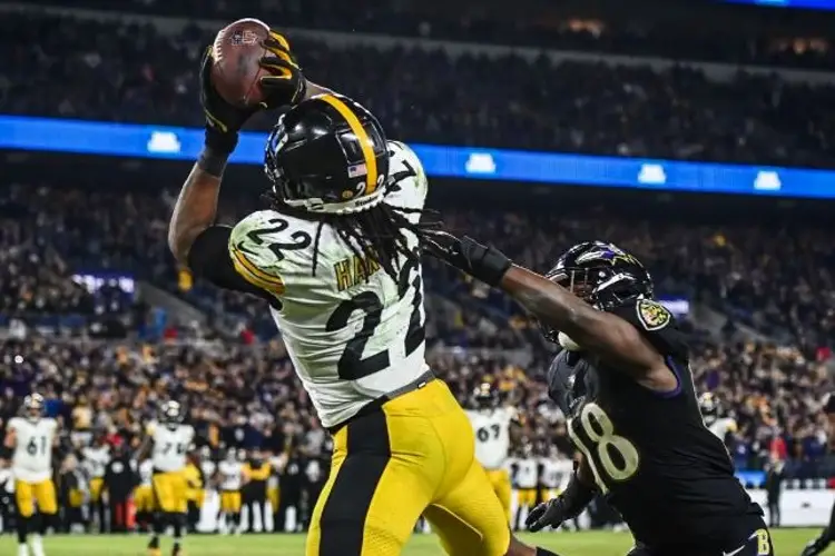 Steelers ganan y tienen posibilidad de ir a los Playoffs