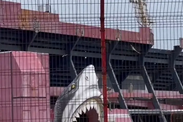 ¿Qué pasará con las bocas gigantes del Tiburón del 'Pirata' Fuente?