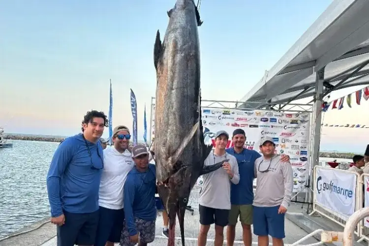 ¡Increíble! Fueron al rescate de una embarcación y regresaron con un marlin de 257 kilos