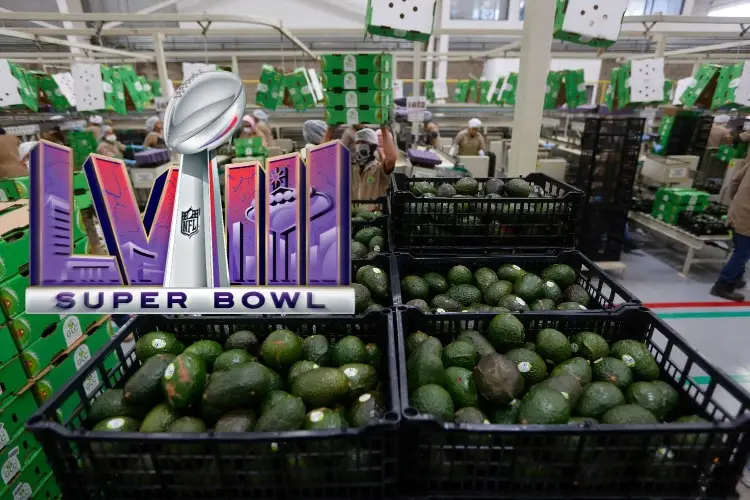 Más de 15 toneladas de aguacate irán a Estados Unidos por el Super Bowl