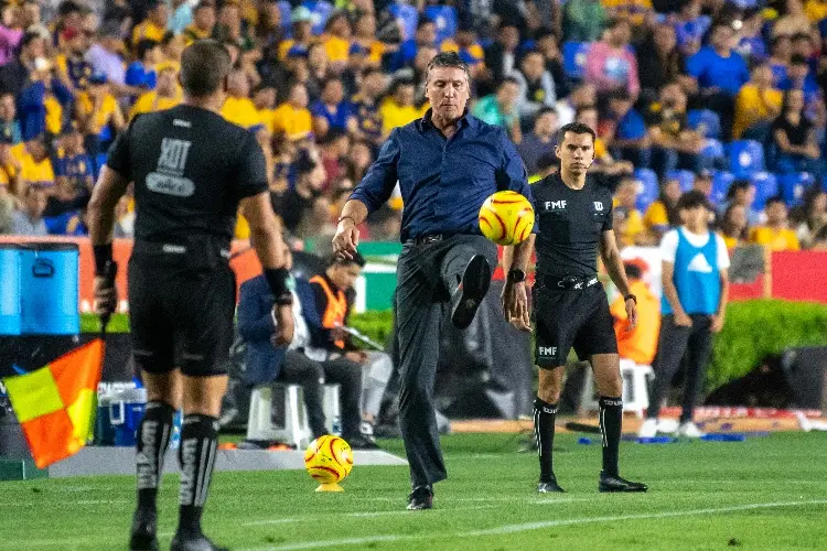 Tigres renovará a Siboldi, sin importar lo que pase en liguilla