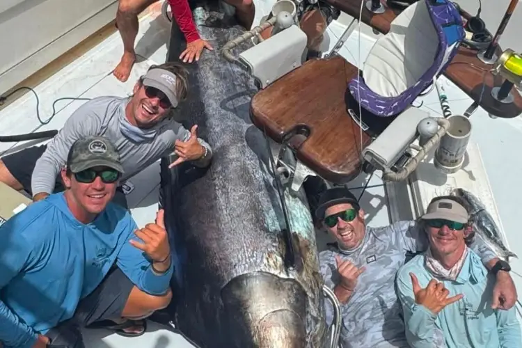 Pescadores veracruzanos  Capturan un Gigante de Más de 400 Kilos 