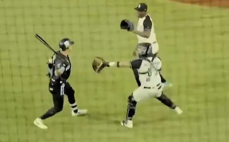 Pelea campal con todo y bate en la Liga Mexicana de Beisbol (VIDEO)