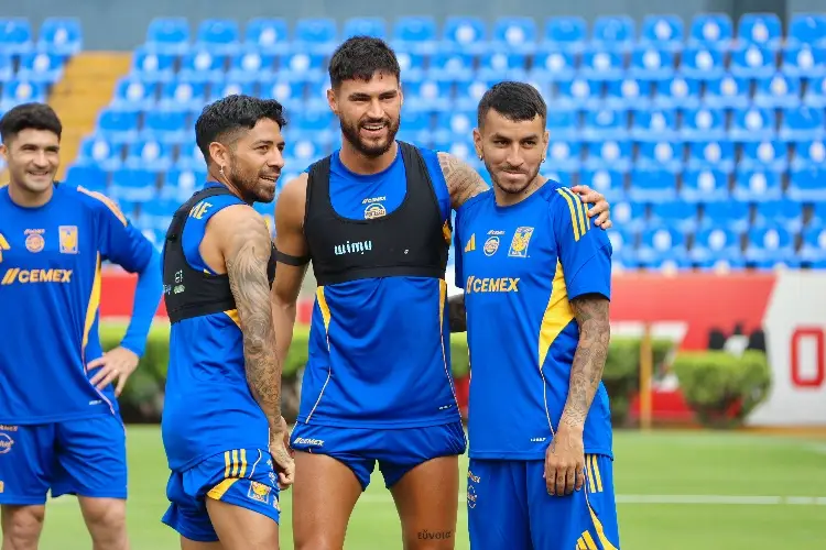Borran a jugador de Tigres de la Selección 