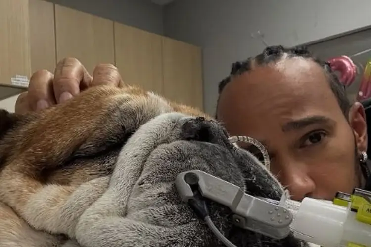 Lewis Hamilton se retira de prueba de Ferrari por salud crítica de su bulldog Roscoe