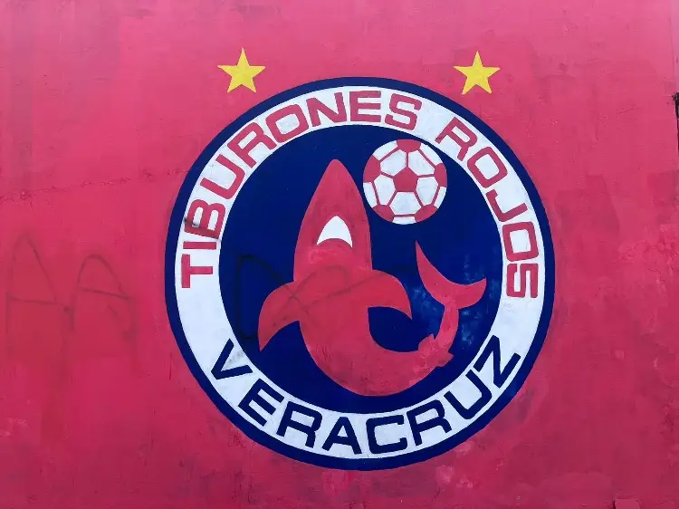 Estamos trabajando, pero es muy complicado: Rocío Nahle sobre regreso de los Tiburones Rojos