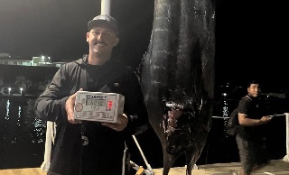 Pescan impresionante Marlin de más de 600 libras en Veracruz (VIDEO + FOTOS)