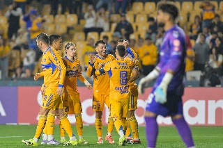 ¡Quieren volver a rugir! Tigres presenta a su nuevo presidente, es veracruzano