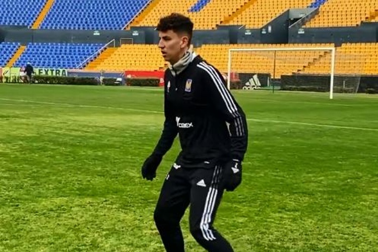 Lichnovsky ya entrenó con los Tigres