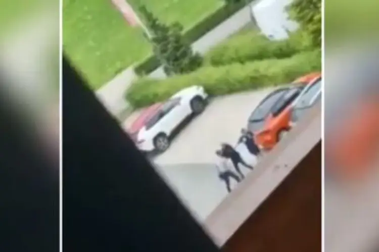 Entrenador y Director Deportivo se agarran a golpes  (VIDEO)