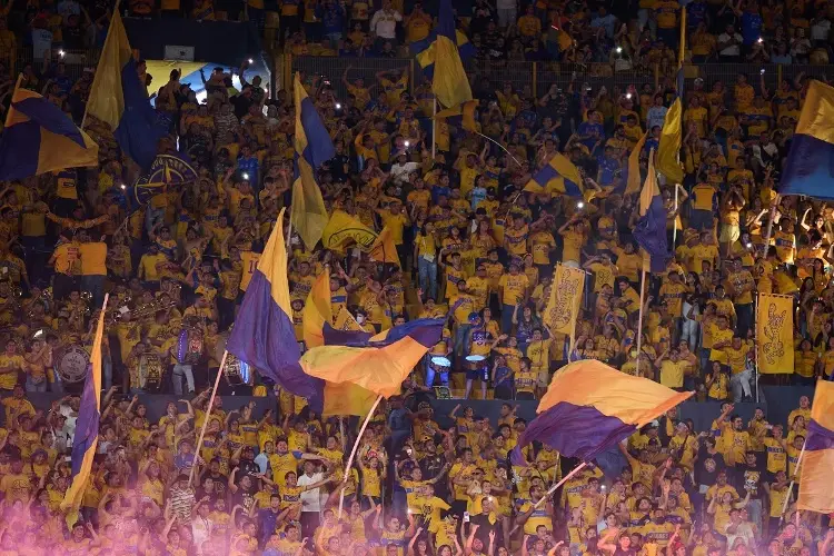 Aficionada de Tigres se levanta la blusa para festejar en pleno estadio (VIDEO)