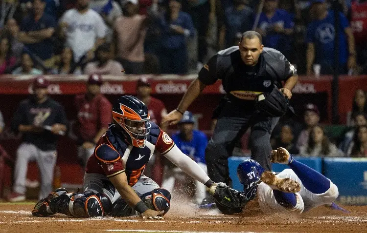 Tigres y Estrellas van a la Final en beisbol dominicano