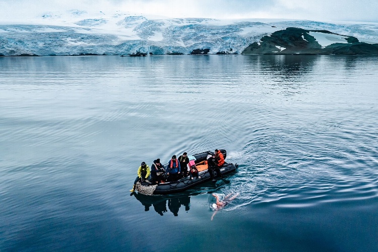 Impone récord tras nadar 2.5 kilómetros en la Antártida (VIDEO)