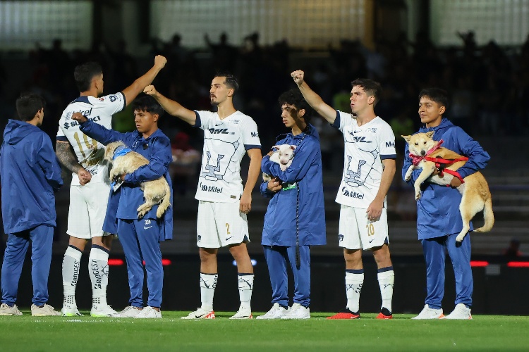 La vez que acusaron a Pumas de ser un equipo 'fascista' (VIDEO) 