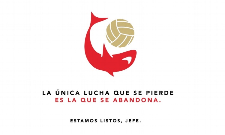 ¡Ahora todo tiene sentido! Esto significaban los mensajes en redes sociales de los Tiburones Rojos de Veracruz
