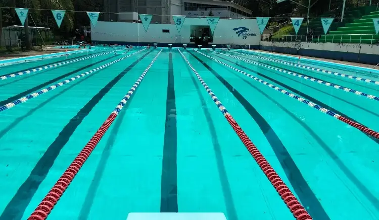 Xalapa recibirá el Selectivo Estatal de Natación Curso Largo 2026