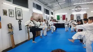 Celebran en Veracruz día internacional de Karate Do