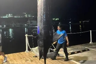 ¡IMPRESIONANTE! Así fue como sacaron el Marlin de más de 600 libras en Veracruz (VIDEO + FOTOS)
