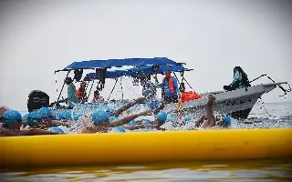 Albergará Veracruz tres selectivos nacionales de natación 2026 