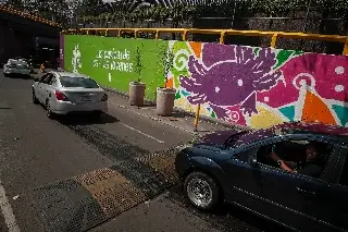 Ciudad de México se pinta de ajolotes a días del Mundial, mientras la especie desaparece