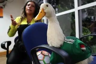 Pato Merlín, la gran sensación del Mundial 2026