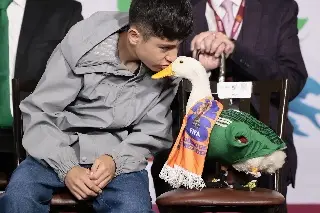 ¿Por qué el Pato Merlín no puede ir al estadio cuando juega México?