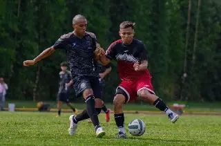 Con más de 15 clubes, estos son todos los equipos profesionales de Veracruz 